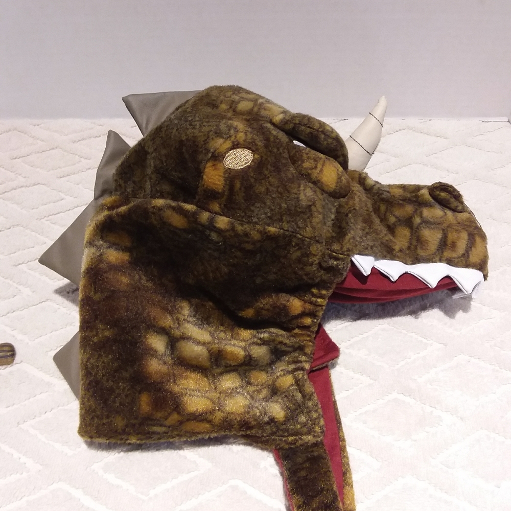 Place dinosaur hat. - Picture 2 of 6